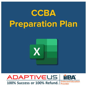 CCBA Prep Plan-1