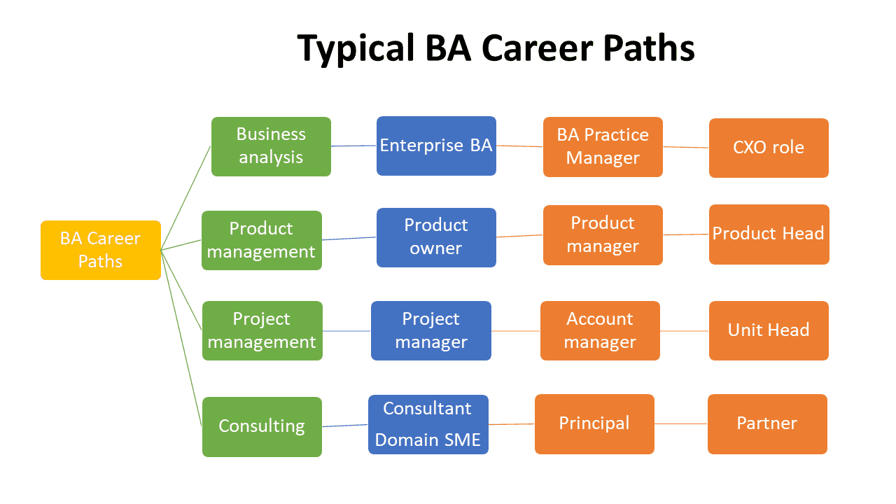 Career Paths For Business Analysts In 2024