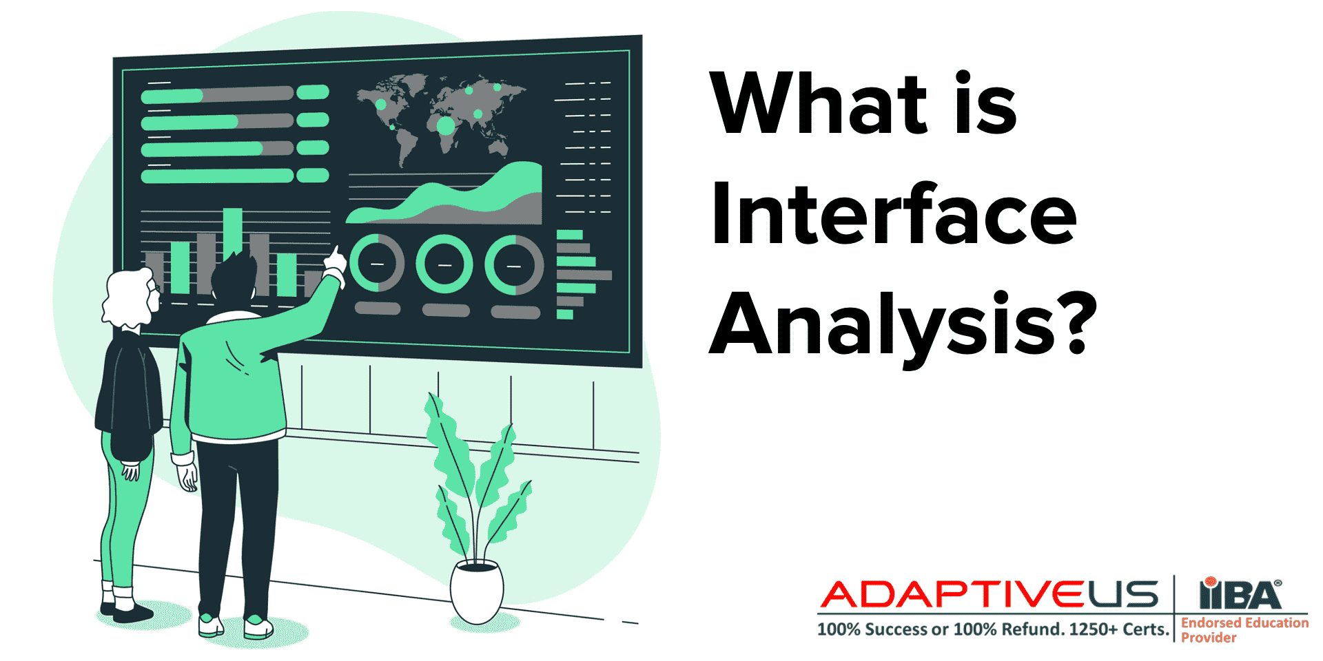What is Interface Analysis