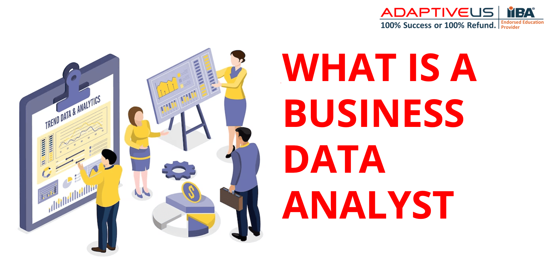 What Is A Business Data Analyst?